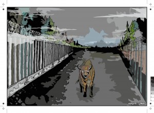 BIALOWIEZA_1OKlADKA-b_page-0001